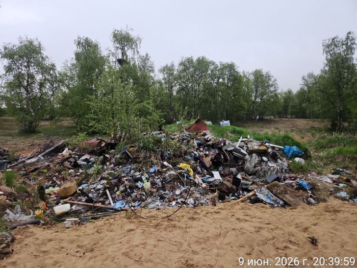 Сбор и сортировка отходов в д. Пылемец